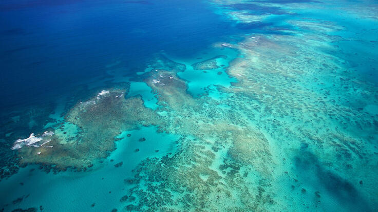 Helicopter Flights Cairns - Great Barrier Reef Helicopter Scenic Flight