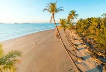 Mission Beach Tours & Attractions - Tropical North Queensland