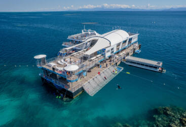 cairns great barrier reef half day tours