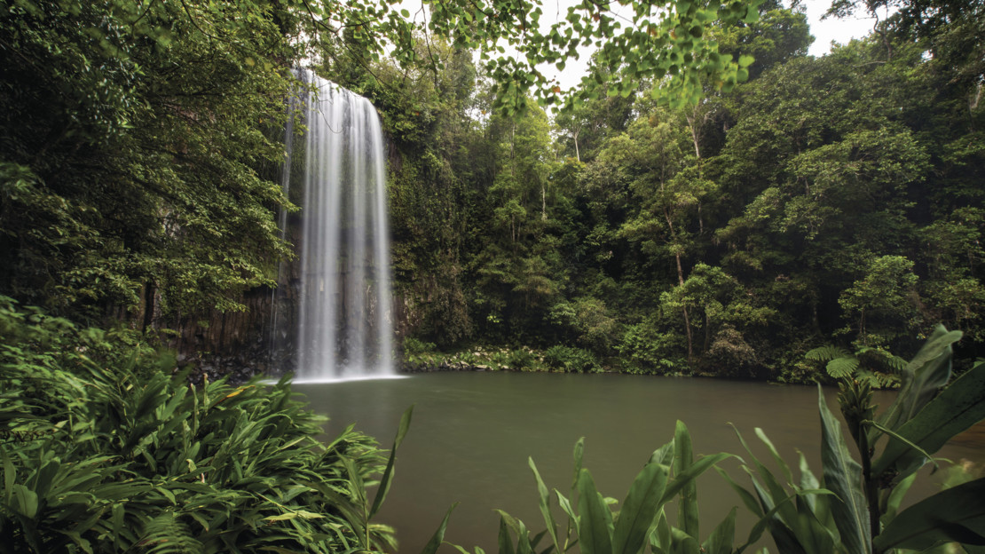 Millaa Millaa Falls, Tropical North Queensland