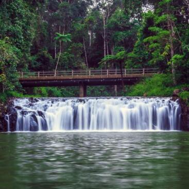 Atherton Tablelands Tours & Attractions - The Waterfall Circuit