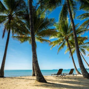 Palm Cove Tours and Attractions - The Tour Specialists