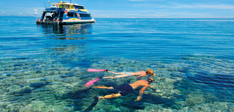 Snorkelling on Opal Reef, Port Douglas