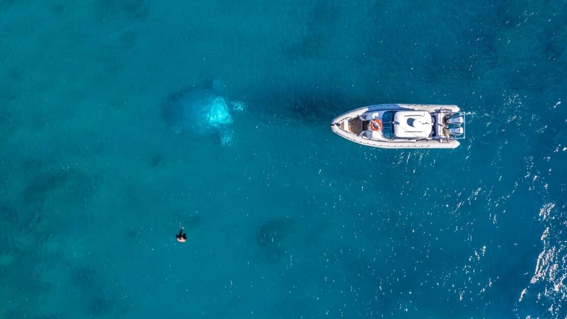 Explore the underwater art & sculptures with a private boat charter in the Whitsundays
