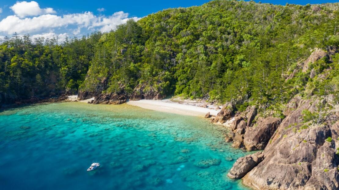 Snorkelling to view the underwater Sculptures & Art Whitsundays
