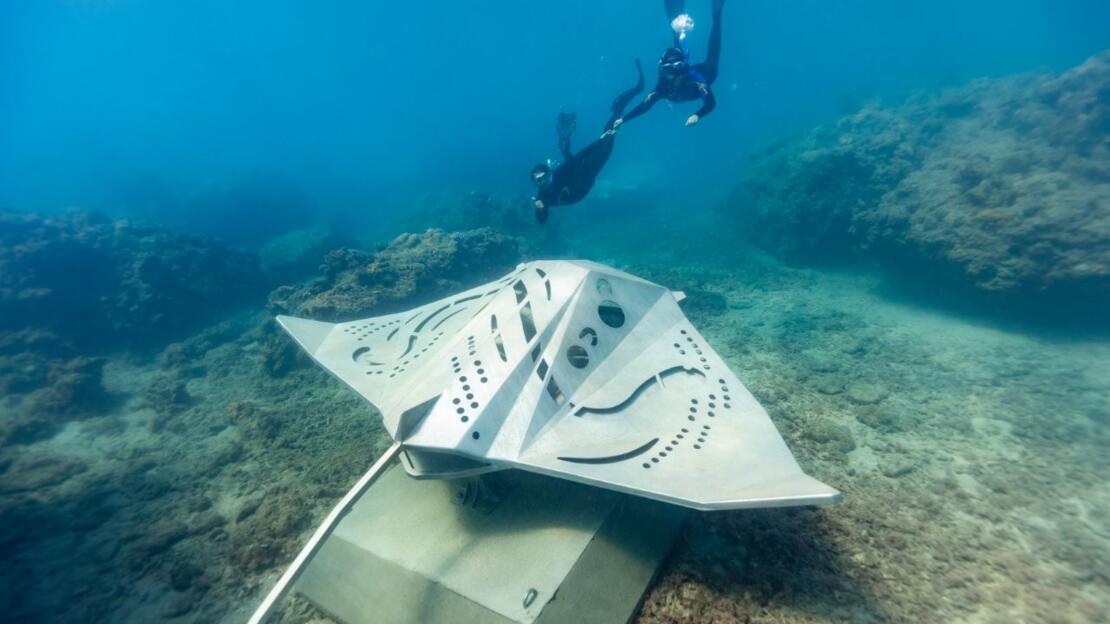 Manta Ray Underwater Sculpture Whitsundays 