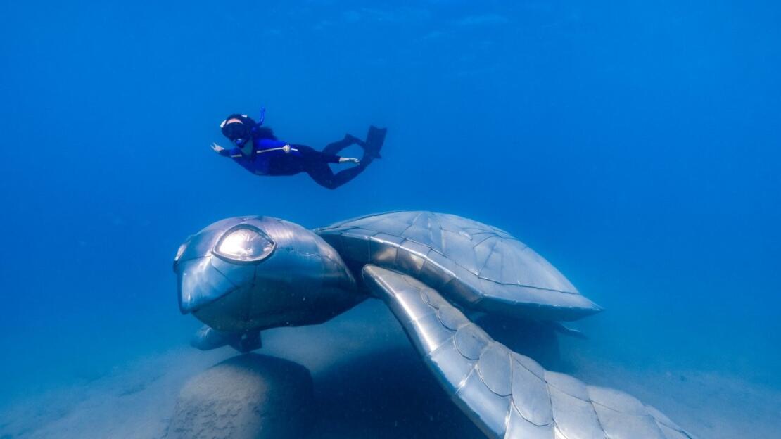 Turtle Dream Underwater Sculpture Whitsundays