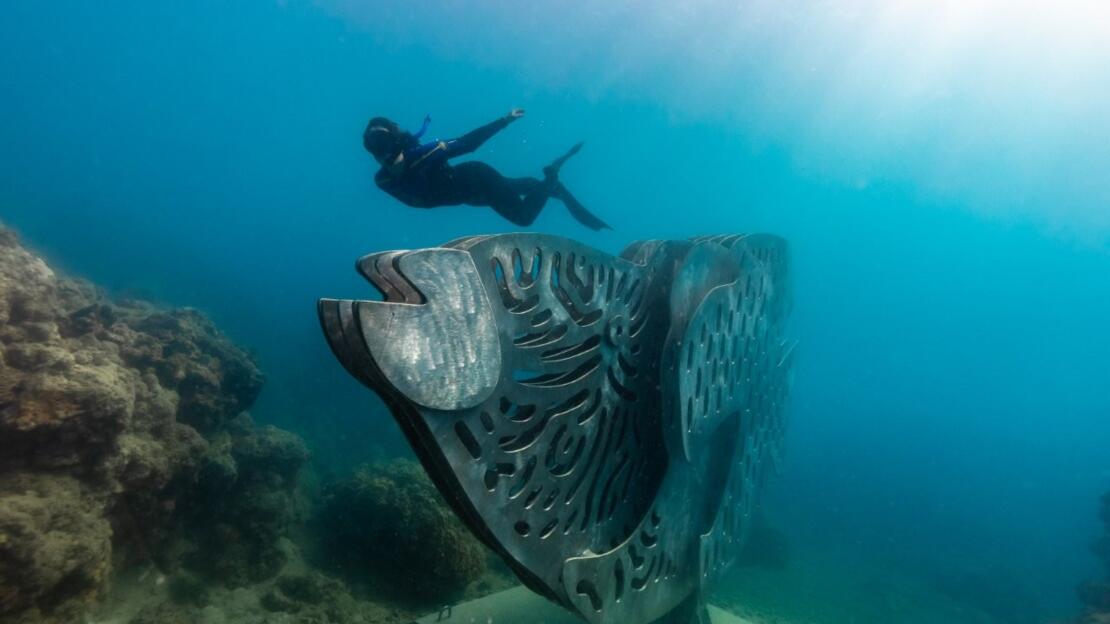 Maori Wrasse Underwater Sculpture Whitsundays