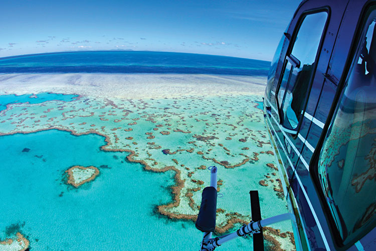 Heart Reef Pontoon - Helicopter Ride - Snorkel Tour - Glass Bottom Boat